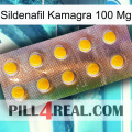 Sildenafil Kamagra 100Mg new11